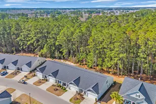 309 Lake Mist Ct, Longs, SC 29568 - Photo 30