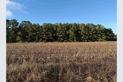 Tbd Thomas Dr., Kingstree, SC 29556 - Photo 2