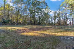 50 S Irvin Enzor Rd, Fair Bluff, SC 28439 - Photo 4
