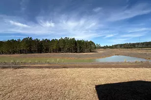 4213 Collins Farm Wy, Conway, SC 29526 - Photo 30