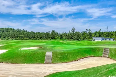 1131 Bear Lake Dr., Longs, SC 29568 - Photo 38