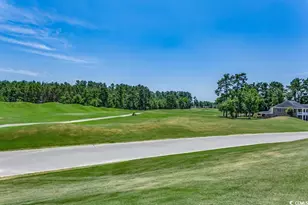 1131 Bear Lake Dr, Longs, SC 29568 - Photo 36