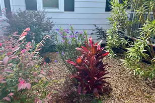 1137 Palmetto St, Georgetown, SC 29440 - Photo 36