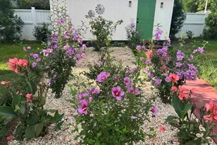 1137 Palmetto St, Georgetown, SC 29440 - Photo 32