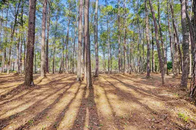 4250 Lilac Rd., Myrtle Beach, SC 29588 - Photo 24