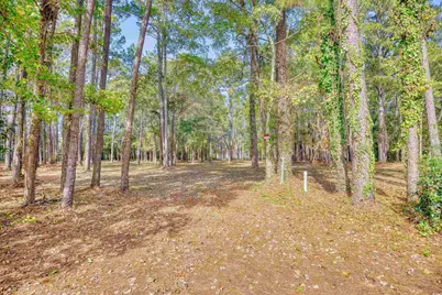 4250 Lilac Rd., Myrtle Beach, SC 29588 - Photo 6