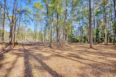 4250 Lilac Rd., Myrtle Beach, SC 29588 - Photo 10