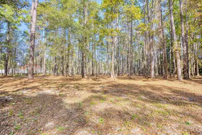 4250 Lilac Rd., Myrtle Beach, SC 29588 - Photo 8