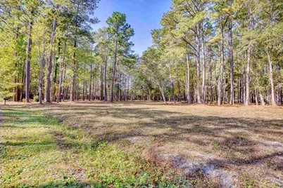 4250 Lilac Rd., Myrtle Beach, SC 29588 - Photo 4