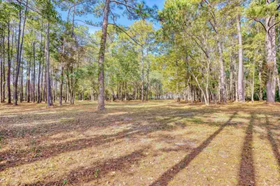 4250 Lilac Rd., Myrtle Beach, SC 29588 - Photo 30