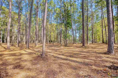 4250 Lilac Rd., Myrtle Beach, SC 29588 - Photo 14