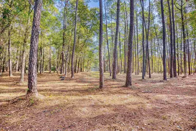 4250 Lilac Rd., Myrtle Beach, SC 29588 - Photo 16