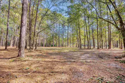 4250 Lilac Rd., Myrtle Beach, SC 29588 - Photo 20