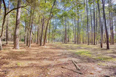 4250 Lilac Rd., Myrtle Beach, SC 29588 - Photo 18