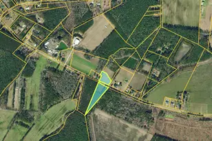 Tbd Winburn St, Conway, SC 29526 - Photo 1