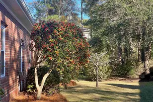 40 Millbranch Ln, Pawleys Island, SC 29585 - Photo 32