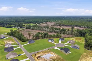 216 Blue Wing Ct, Conway, SC 29527 - Photo 30