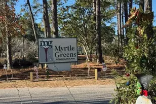 425 Myrtle Greens Dr, Conway, SC 29526 - Photo 16