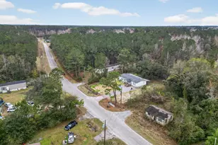 223 Armstrong Dr, Georgetown, SC 29440 - Photo 16