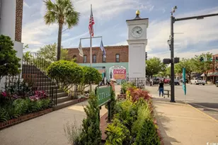 6024 Harness Ct, Myrtle Beach, SC 29588 - Photo 12