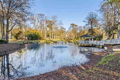 941 Skimmer Bay Bend, Myrtle Beach, SC 29572 - Photo 28