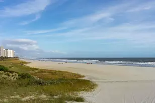 8010 Bear Claw Wy, Conway, SC 29526 - Photo 28