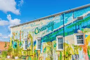 4850 Huckleberry Ln, Conway, SC 29526 - Photo 36