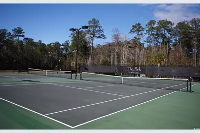 334 Splendor Circle, Murrells Inlet, SC 29576 - Photo 38