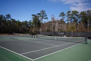 334 Splendor Cir, Murrells Inlet, SC 29576 - Photo 38