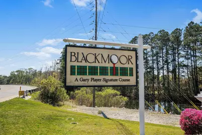 5852 Longwood Dr. #301, Murrells Inlet, SC 29576 - Photo 30