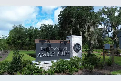 404 Gemstone Blvd #Lot 218, Conway, SC 29526 - Photo 26