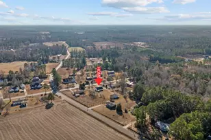 1589 Hwy 915, Loris, SC 29569 - Photo 28