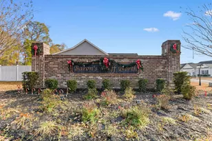 340 Barony Dr, Conway, SC 29526 - Photo 40