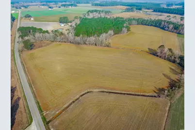 4705 Carolina Rd., Green Sea, SC 29545 - Photo 2