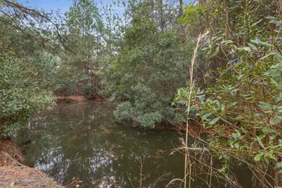 33332 County Line Rd., Hemingway, SC 29554 - Photo 38