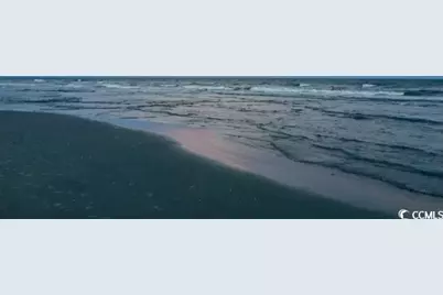 695 Riverwalk Dr. #302, Myrtle Beach, SC 29579 - Photo 18