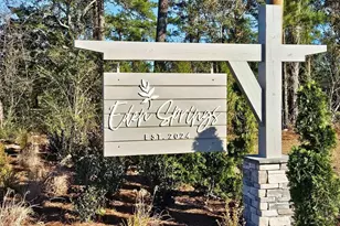 262 Hadley Spgs Ave, Longs, SC 29568 - Photo 34