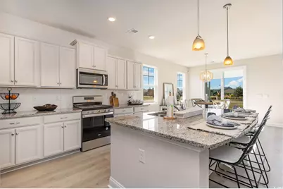 262 Hadley Springs Ave, Longs, SC 29568 - Photo 4