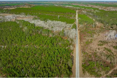 McKays Bridge Rd., Dillon, SC 29536 - Photo 6