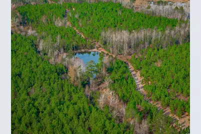 McKays Bridge Rd., Dillon, SC 29536 - Photo 8