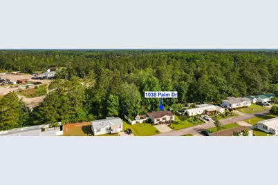 1038 Palm Dr., Conway, SC 29526 - Photo 32