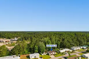 1038 Palm Dr, Conway, SC 29526 - Photo 32