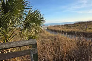 3901 Birchwood St, North Myrtle Beach, SC 29582 - Photo 38