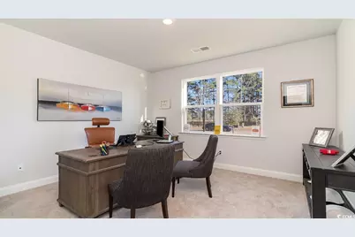 251 Hadley Springs Ave, Longs, SC 29568 - Photo 6