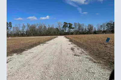 811 Sheila Dr., Johnsonville, SC 29555 - Photo 6