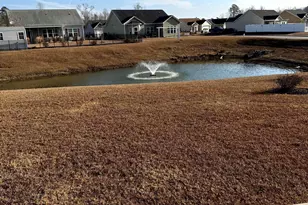 257 Maiden's Choice Dr, Conway, SC 29527 - Photo 28