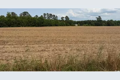 Tbd Mack Rd., Conway, SC 29526 - Photo 4