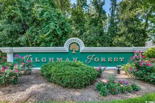 1005 Sand Dollar Ct, North Myrtle Beach, SC 29582 - Photo 28