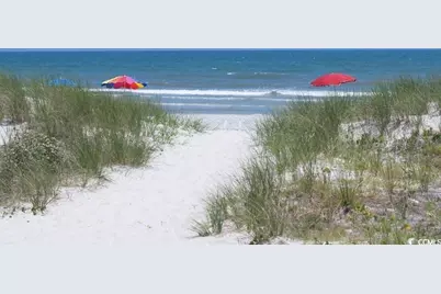 29 Crooked Island Circle, Murrells Inlet, SC 29576 - Photo 36