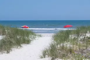 29 Crooked Island Cir, Murrells Inlet, SC 29576 - Photo 36